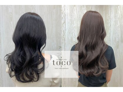 トコ(toco)の写真