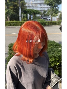 モアムー(Moremuu) ［かの］アプリコット