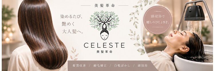 セレスト 大泉学園店(CELESTE)のサロンヘッダー