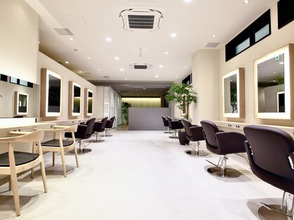 トリッカ 銀座(tricca)の写真