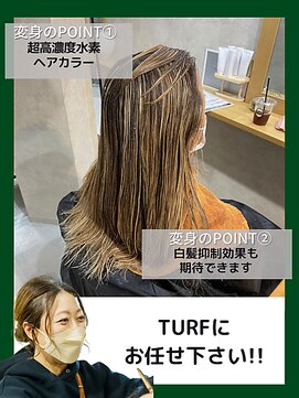 ターフタカサキディエル(TURF TAKASAKI D.L) お悩み別：ダメージの少ないカラー希望