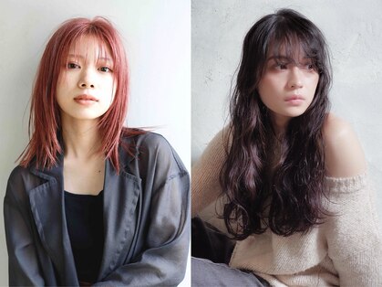 キア(KIIA)の写真