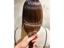 セクション(SECTION)