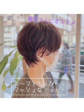 アッシュ 横浜店(Ash) ポイントパーマのショート
