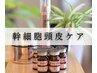 本格頭皮ケア幹細胞コース◎幹細胞スパ＋カラー＋カット￥16500→初回￥13200