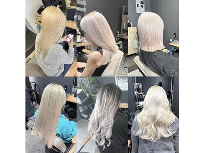 ノワレ(Noiae)の写真