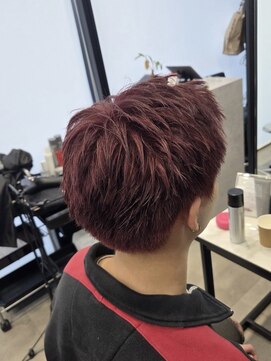 パヌポン(PANUPON) ピンクレッドハイライトダブルカラーケアブリーチバレイヤージュ