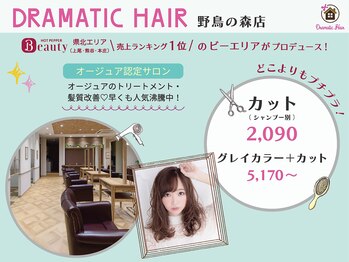 DRAMATIC HAIR 野鳥の森店