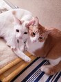 アーシェ 横浜店(A'SHE) 我が家の猫達を溺愛してます