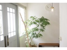 柔らかな光が差し込む待合スペース