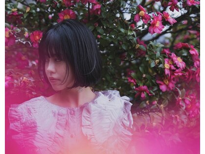 コッパ(Coo8)の写真