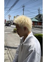 スワッグベース(SWAG BASE)&nbsp;スパイキーショート