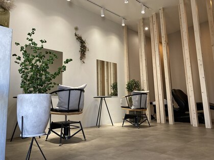 ブレント(blent)の写真
