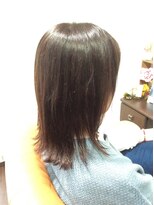 ドルセット レイヤー