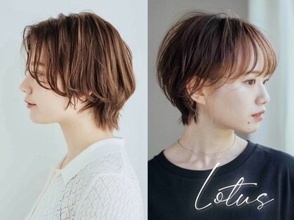 ロータス(LOTUS)の写真