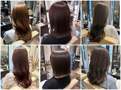 シェリッシュ ノース(Sheriche North)の写真