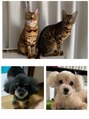 セジールへアメゾン(SAISIR HAIRMAISON) 動物大好きです！我が家の癒し達[岡山/髪質改善/ショート/韓国]