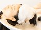 スリープ(Three-p.)の写真/【疲労改善ヘッドスパ】お客様の頭皮の状態に合わせた商材で頭皮の環境を整えながら本格的なマッサージを◎