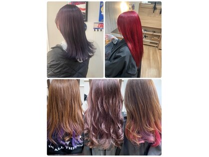 マテリアル(material)の写真