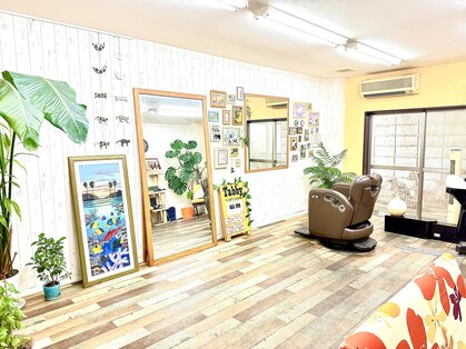 タビー(Tabby)の写真
