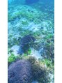 リリアン(Liliane) 南の島が好きです★