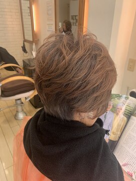 エル ブランシュ elle blanche ヘナカラー天然100%