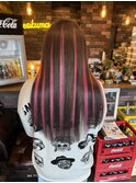Extensions Highlight