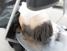 【迷ったらコレ】美巡リセットスパ(45分)
