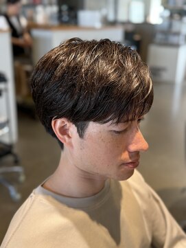 ホル(HOL) シースルーマッシュ