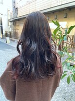 エイゾー(EIZO)&nbsp;インナーカラー/イヤリングカラー/レッド/ゼロテク/暖色