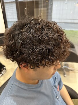 ラテ 伊勢崎(LATTE) プードルパーマ