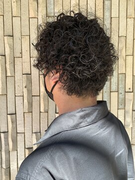 パーク(PAAQ) Paaq 木村　カジュアルアフロマッシュ