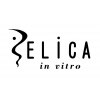 エリカインヴィトロ(ELICA in vitro)のお店ロゴ