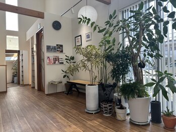 ヘイデイズ(HEY DAYS)の写真/「まるで海外の隠れ家カフェ。心躍る空間で、新しい私に出会う」デザイン性の高い空間でスタイルを楽しむ