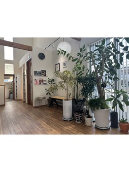 「まるで海外の隠れ家カフェ。心躍る空間で、新しい私に出会う」デザイン性の高い空間でスタイルを楽しむ