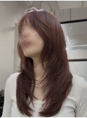 ハイレイヤーミディ