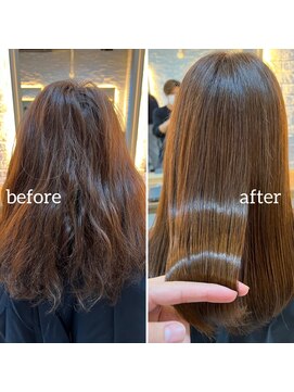 ウィローズ(WILLOW'S) サラ艶ストレート