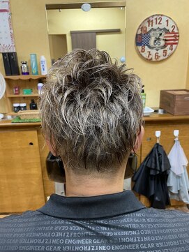 ヘアーパークスキル(Hair Park Skill) シルバーカラー