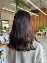 パルムヘアー(Palm hair)&nbsp;カシスカラー