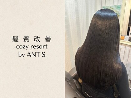 コージー リゾート バイ アンツ 茅ヶ崎駅前店(cozy resort by ANT'S)の写真