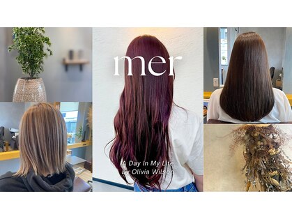 メル(mer)の写真