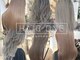 ヘアワン(HAIR One)の写真