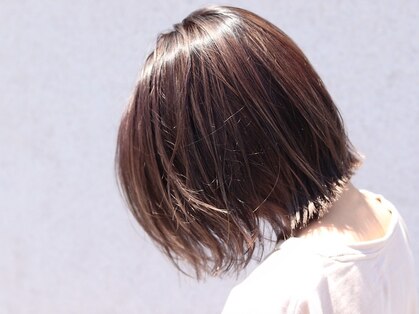 サイタス(SITUS)の写真