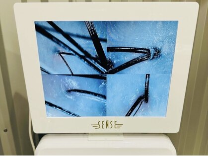 センス 大井町店の写真