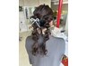 結婚式、イベント、お出かけ前に♪ ヘアセット ¥5500