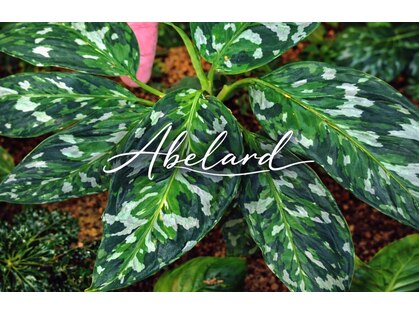 アベラルド(Abelard)の写真