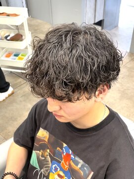 ノイセル 西本町(Noisyle) guest snap ショートマッシュウルフ×波巻きスパイラルパーマ