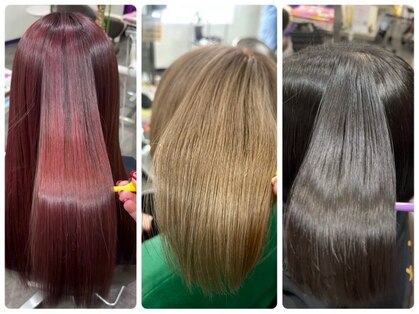 シムク(shi mu ku)の写真