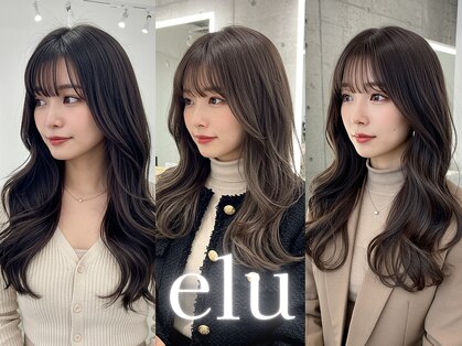 エル 新小岩(elu)の写真