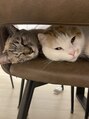 エレノア 札幌(Eleanor)&nbsp;２匹の愛猫白が【はんぺん】グレーが【つくし】保護猫出身です